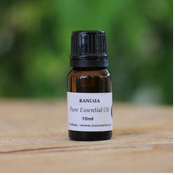 ICosmetics Ätherisches Öl Vanille 10ml ICosmetics Ätherisches Öl Vanille 10ml