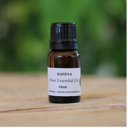 ICosmetics Ätherisches Öl Zimt 10ml ICosmetics Ätherisches Öl Zimt 10ml