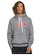 Hooded Sweatshirt Steel