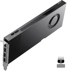 PNY 24GB GDDR7 Graphics Card