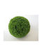 Artificial Angelica Shrub High Quality Pe Material 30cm 4 Pieces