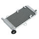 Yamaha Xt660 Water Radiator Silver Roc