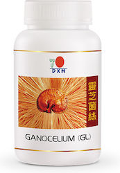 DXN Ganocelium 30 Capsules DXN Ganocelium 30 Capsules
