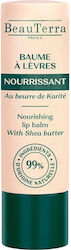 BeauTerra Lip Balm 4gr
