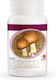 DXN Agaricus Blazei Murill 30 κάψουλες