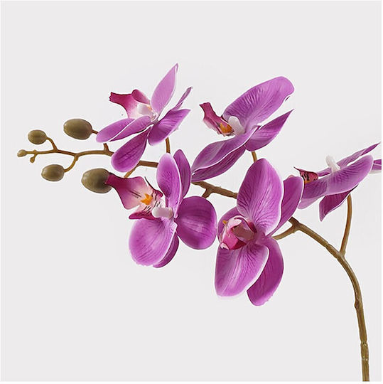 Decorative Potted Plant Orchid Beauty Inart 30x13x46cm