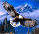 5D Diamond Painting Eagle 40x30cm