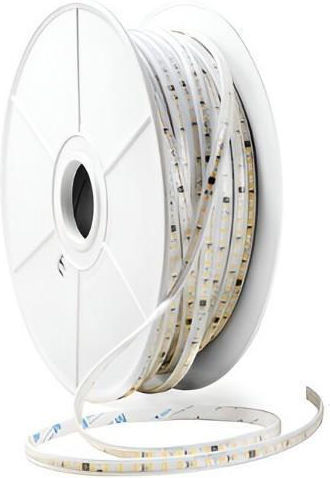 Eurolamp LED Strip 220V Warm White Light 50m Type SMD2835