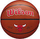Wilson Team Alliance Bskt Basketball