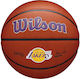 Wilson Team Alliance Bskt La Lakers Basketball