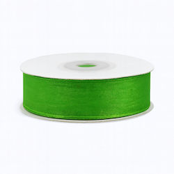 Organza Band Monochrom Grün 23meters