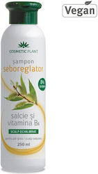 Șampon Seboreglator Cu Salcie Albă 250 Ml Șampon Seboreglator Cu Salcie Albă 250 Ml
