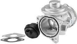 Borgwarner Egr Valve 7372d