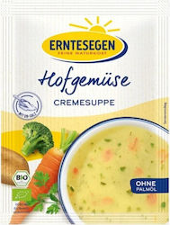 Erntesegen Σούπα 40gr 500ml Erntesegen Σούπα 40gr 500ml