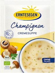 Erntesegen Σούπα 40gr 100ml Erntesegen Σούπα 40gr 100ml