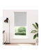 vidaXL Roller Blinds Total Blackout Gray W120xH230cm 4016089