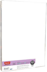 Next Synaps Paper A3 450gr/m² 500 sheets 09088------3 Next Synaps Paper A3 450gr/m² 500 sheets 09088------3