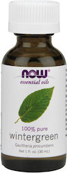 Now Foods Αιθέριο Έλαιο Ευκάλυπτος 30ml Now Foods Αιθέριο Έλαιο Ευκάλυπτος 30ml