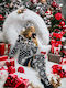 SNOW351