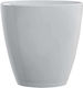 Waf Champagners simple Acrilic cu dimensiunile ...