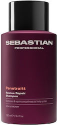 Sebastian Professional Penetraitt 280ml Sebastian Professional Penetraitt 280ml