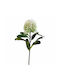 Koart Dianthus Λευκό Τεχνητό Λουλούδι 62 Cm