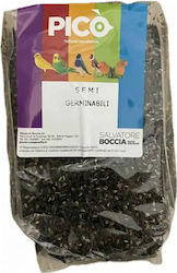 Pico Semi Germinabili – Mischung Von Saatgut Für Keimlinge 5kg Pico Semi Germinabili – Mischung Von Saatgut Für Keimlinge 5kg