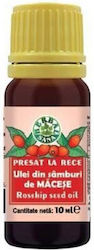 Cold Pressed Rosehip Seed Oil 10 Milliliters Herbavit Cold Pressed Rosehip Seed Oil 10 Milliliters Herbavit