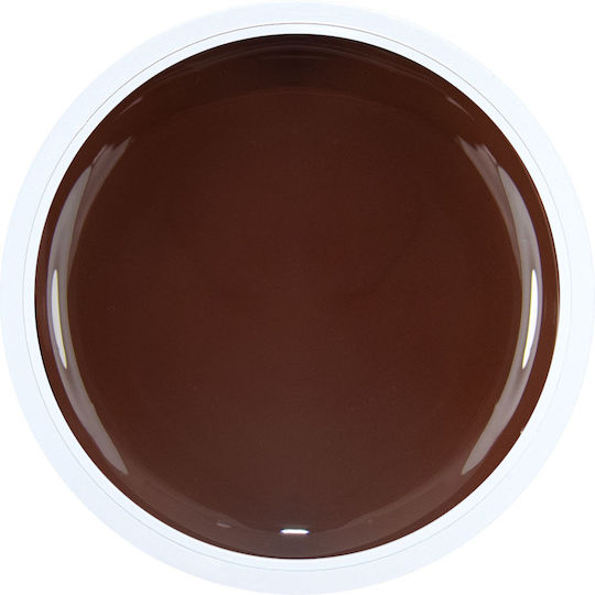Alezori Painting Gel Gel pentru Unghii BROWN 3gr