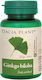 Ginkgo Biloba 100mg 60 Comprimate Dacia Plant