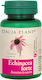 Echinacea Forte 60 Comprimate Dacia Plant