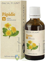 Tinctură De Păpădie 50 Ml Dacia Plant
