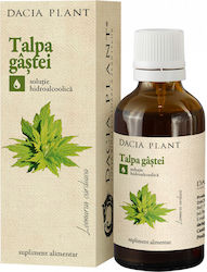 Dacia Plant Tinctură de Talpa Gâștei 50ml