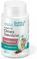 Devil's Claw 30 Capsule Rotta Natura Devil's Claw 30 Capsule Rotta Natura