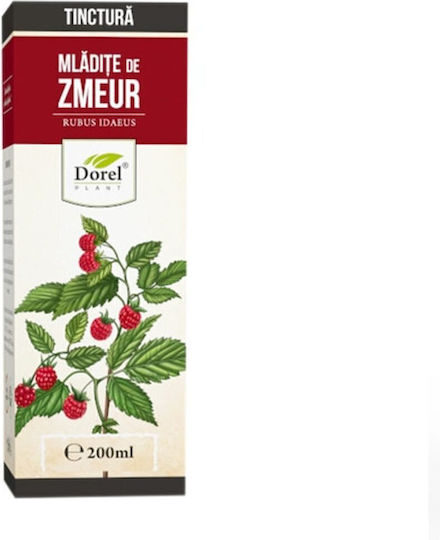 Dorel Plant     200  | Skroutz