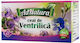 Valeriană 20 Capsule