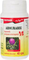 Silimarina 40 Capsule Favisan