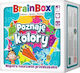 Rebel Educational Game Knowledge