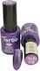 Tertio Semi-Permanent Nail Polish 176 10ml 1pcs