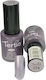Tertio Semi-Permanent Nail Polish 174 10ml 1pcs
