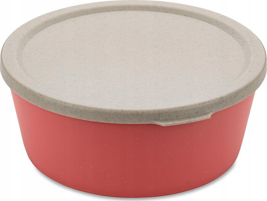 Koziol Lunchbox Kunststoff 400ml 1Stück