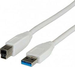 Καλώδιο Usb Secomp Καλώδιο Usb 3.2 Gen 1 Τύπος A M B M 3.0 M Μπεζ 0.8 M