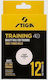 White 12 Pack Tennis Training Balls
