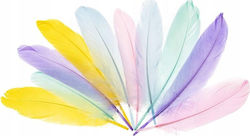 Goose Feathers Fandy 15-20cm Pastel