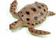 Hipo Sea Animals 8cm 12pcs 36disp 570455 11749