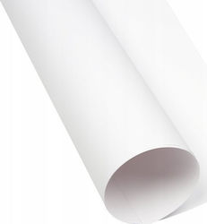 Oxford Karton Oxford A3 160g Weiß 25 Weiß