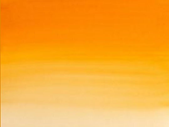 Smartmax Marker Orange