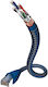 Cat6a S Ftp Patch Cable
