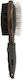Mascow Brush Dogs Double Sided for Coat Grooming