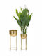 Mauro Ferretti Planter Gold with Stand